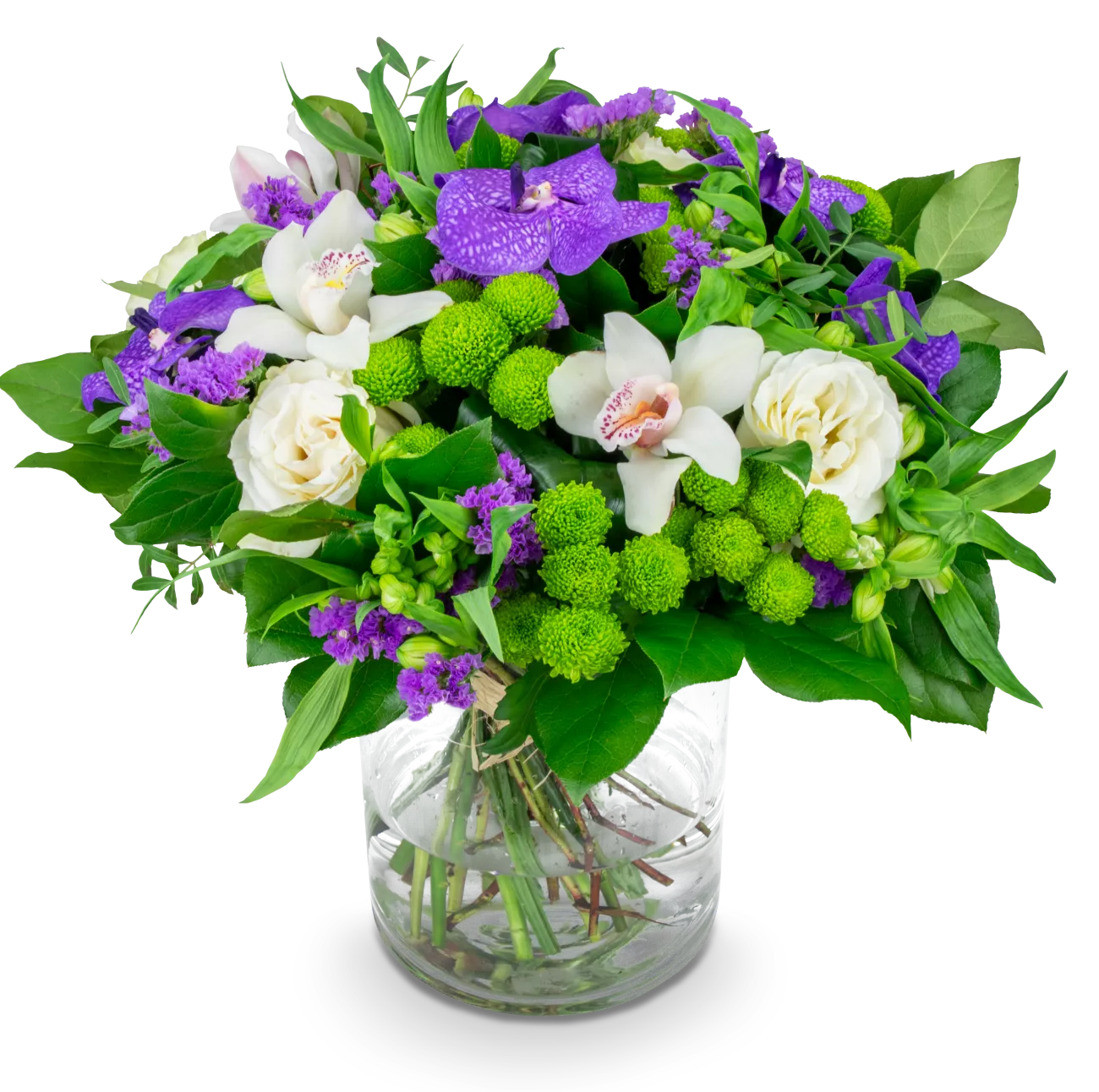 CELESTE_VELKA_IMG_1545_eRGB.png
